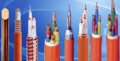 西安津成電線電纜陜西直營店 專業電纜經營服務