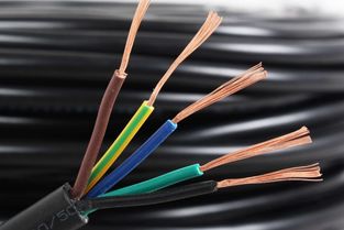 WDZBN-BYJ電線詳解 特性、應(yīng)用與行業(yè)認(rèn)知